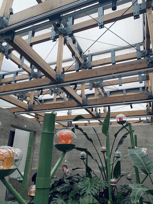 上?？Х戎?百年皂廠變身白七咖啡廳,給城市留下溫暖記憶